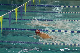 开云体育开云-全国公开水域游泳赛长江赛段人气爆棚