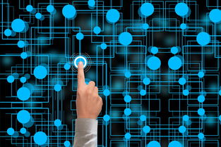 开云下载-冬奥会遗产利用与社会价值实现研究，冬奥会遗产战略计划